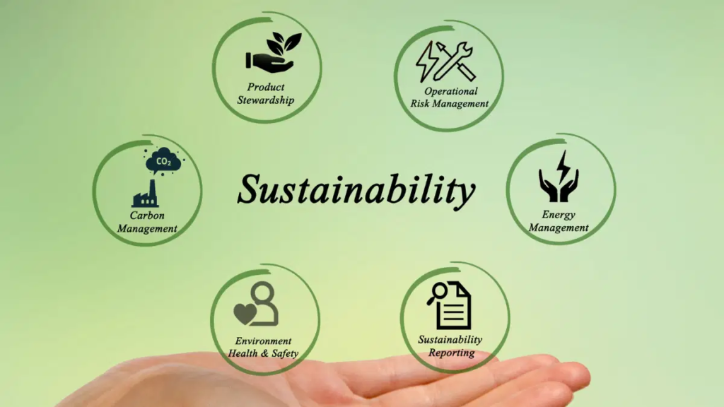 Sustainability in Business