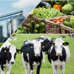 Business of Agriculture