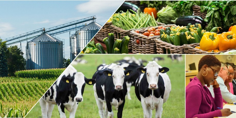 Business of Agriculture