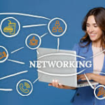 Networking in Entrepreneurship