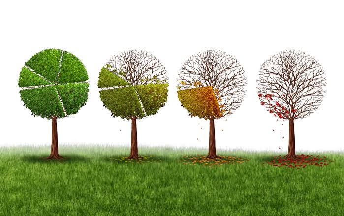 Environmental Effects on Business